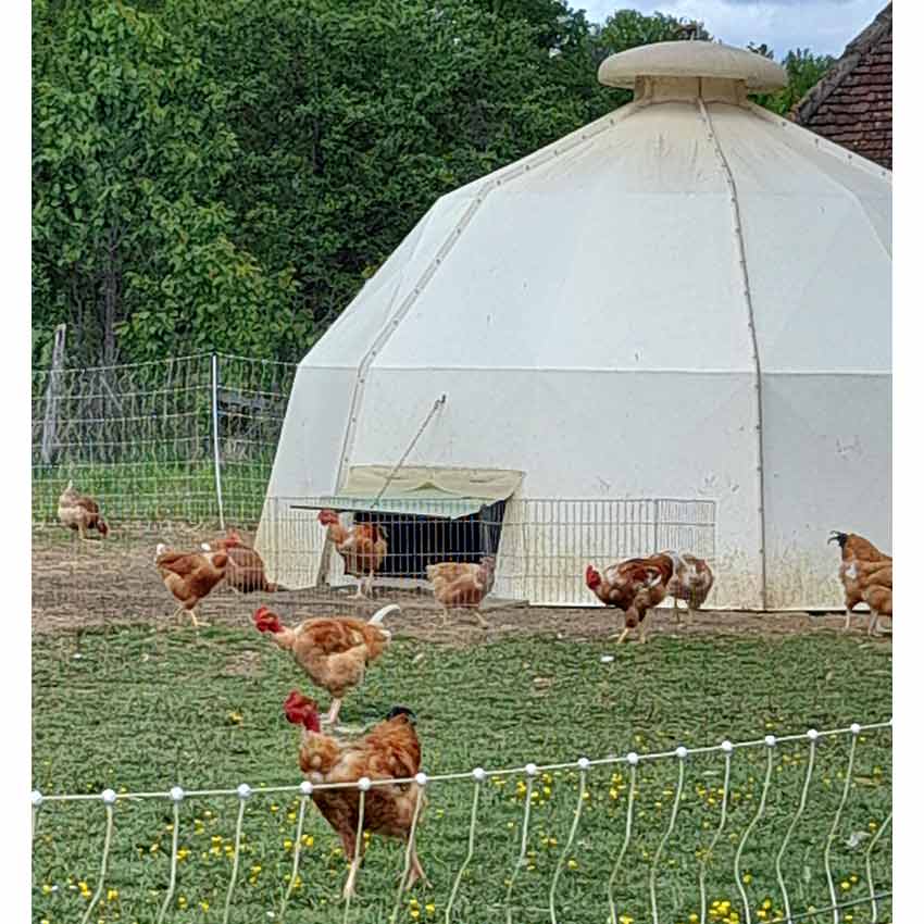 Abri Mobile Volailles - Abris Déplaçables pour Poules en Polyester